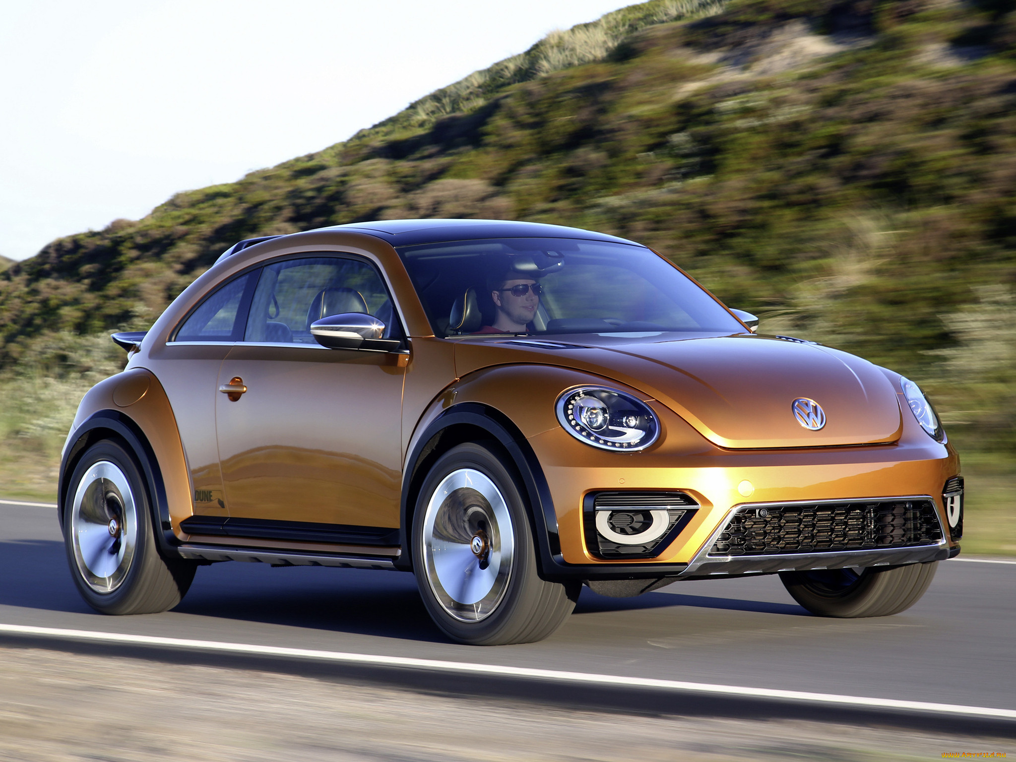 , volkswagen, 2014, concept, beetle, dune